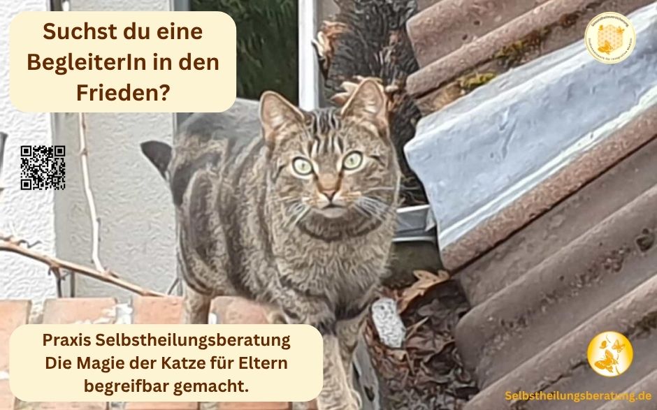 Begleitprogramm in den Frieden